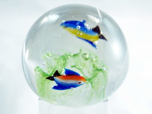M Design Art Handcraft Fish Seaworld Bubble Handmade Glass Paperweight
